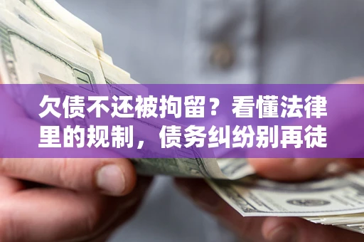 北京欠债不还被拘留？看懂法律里的规制，债务纠纷别再徒劳奔波