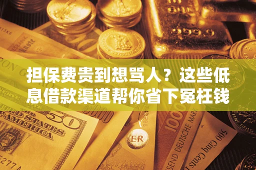 北京担保费贵到想骂人？这些低息借款渠道帮你省下冤枉钱