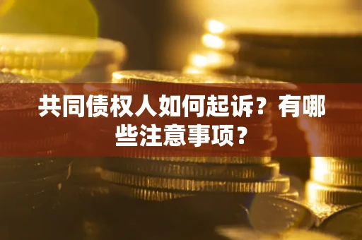 北京共同债权人如何起诉？有哪些注意事项？